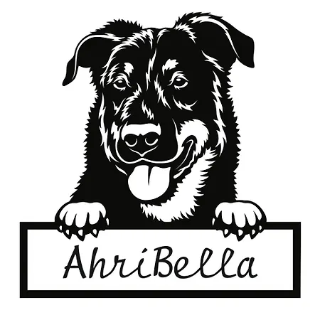 Urlaub Mit Hund -Ferienwohnung 