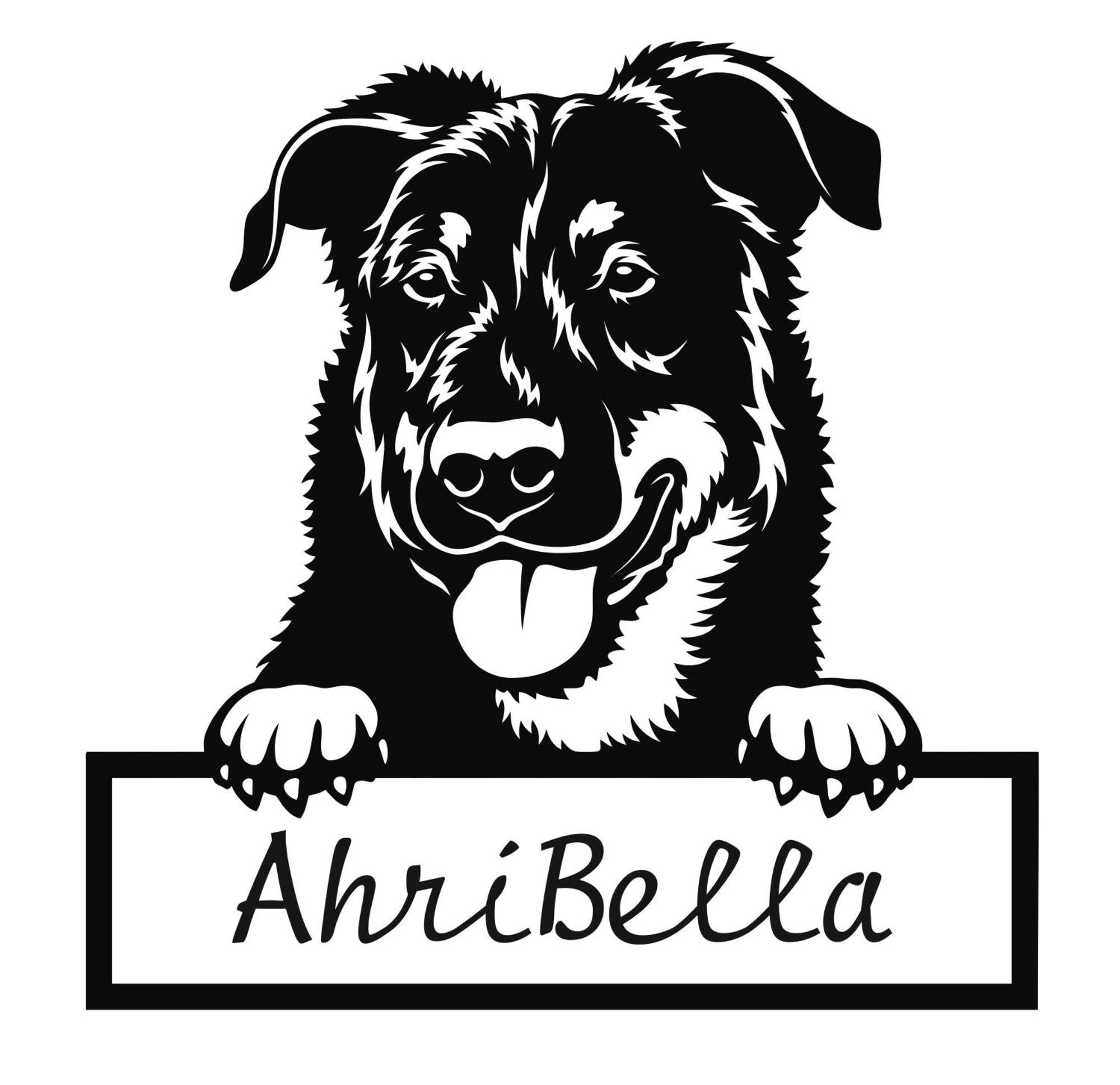 Urlaub Mit Hund -ferienwohnung 