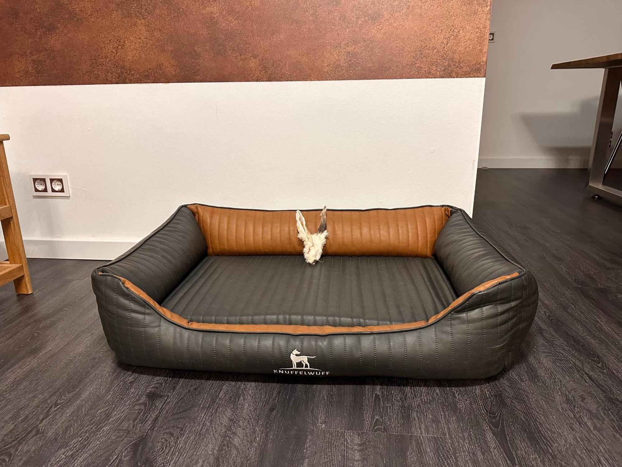 Urlaub Mit Hund -ferienwohnung 
